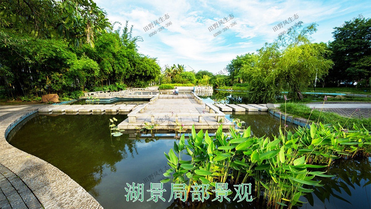 广东惠州富力地产园林景观工程