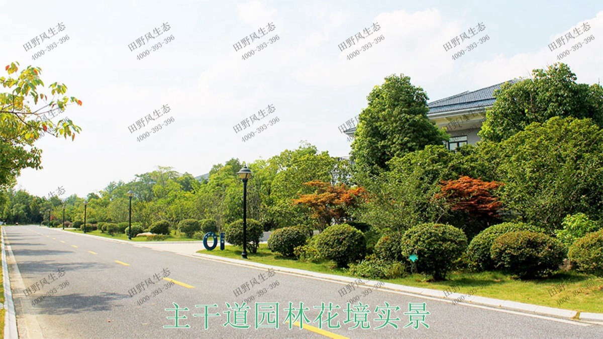 广州亚运城园林绿化建设工程
