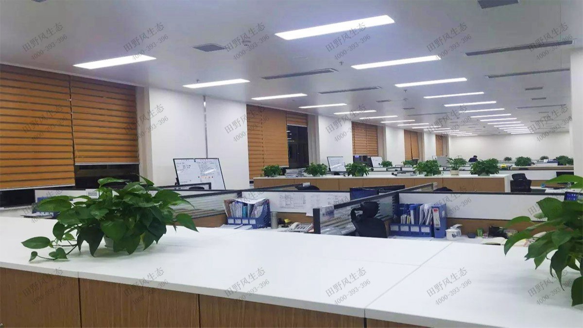 广州国际电子大厦绿植出租案例
