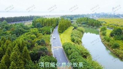 广州开创大道市政园林养护​效果展示