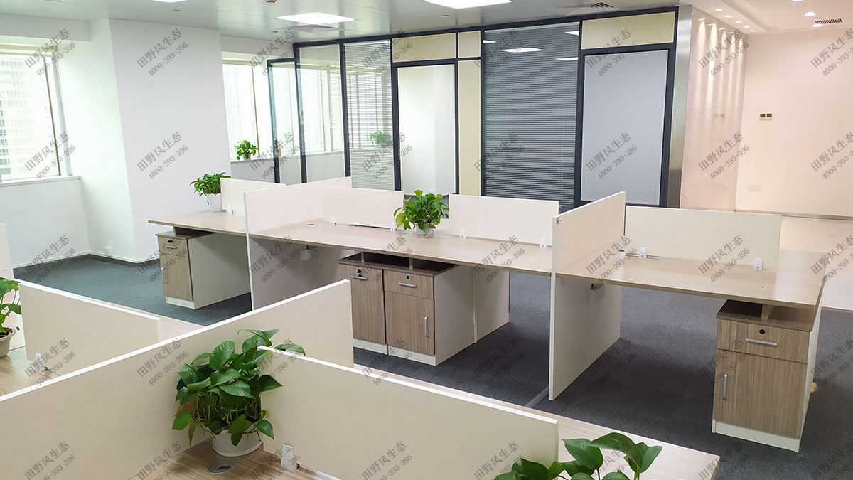 办公室植物花卉出租,办公室植物租赁