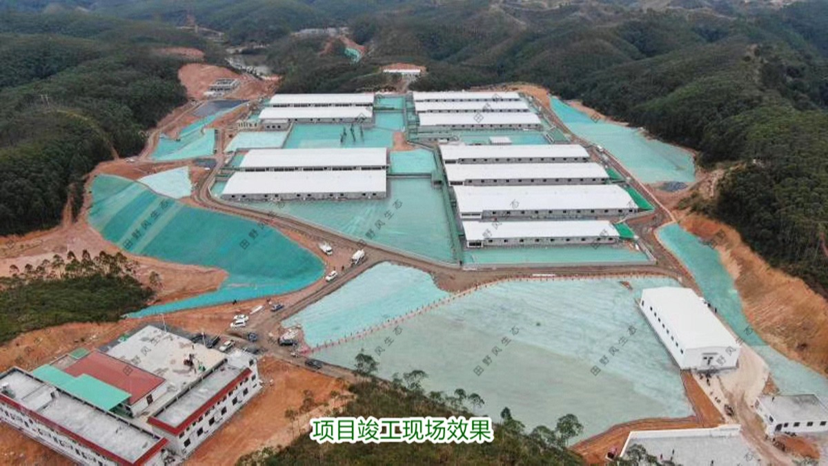 海大集团养猪基地生态修复工程