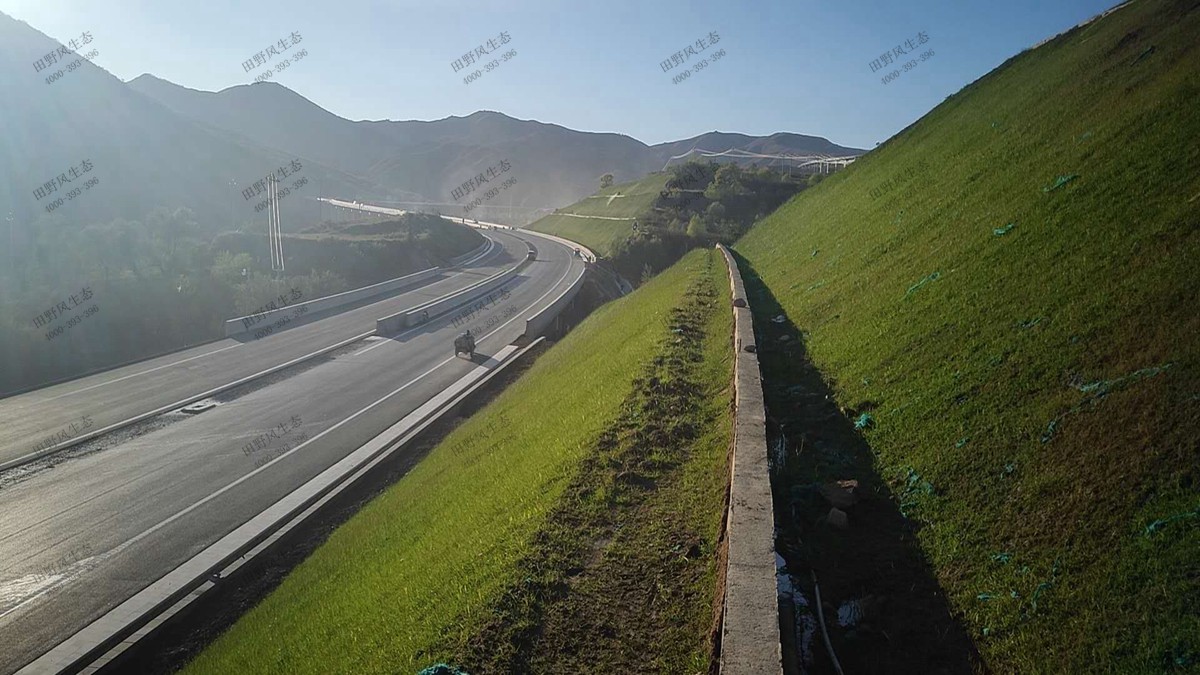 汕湛高速揭阳段铜盂互通边坡复绿工程