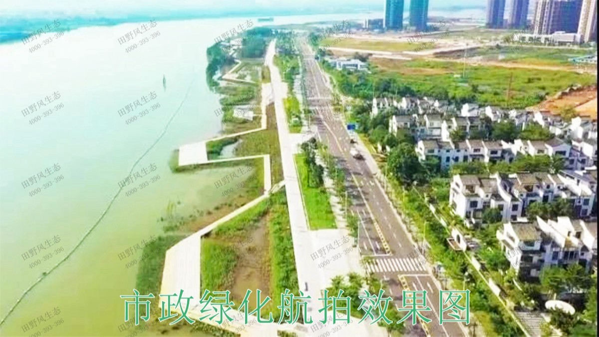 广东珠海斗门美化绿化市政工程