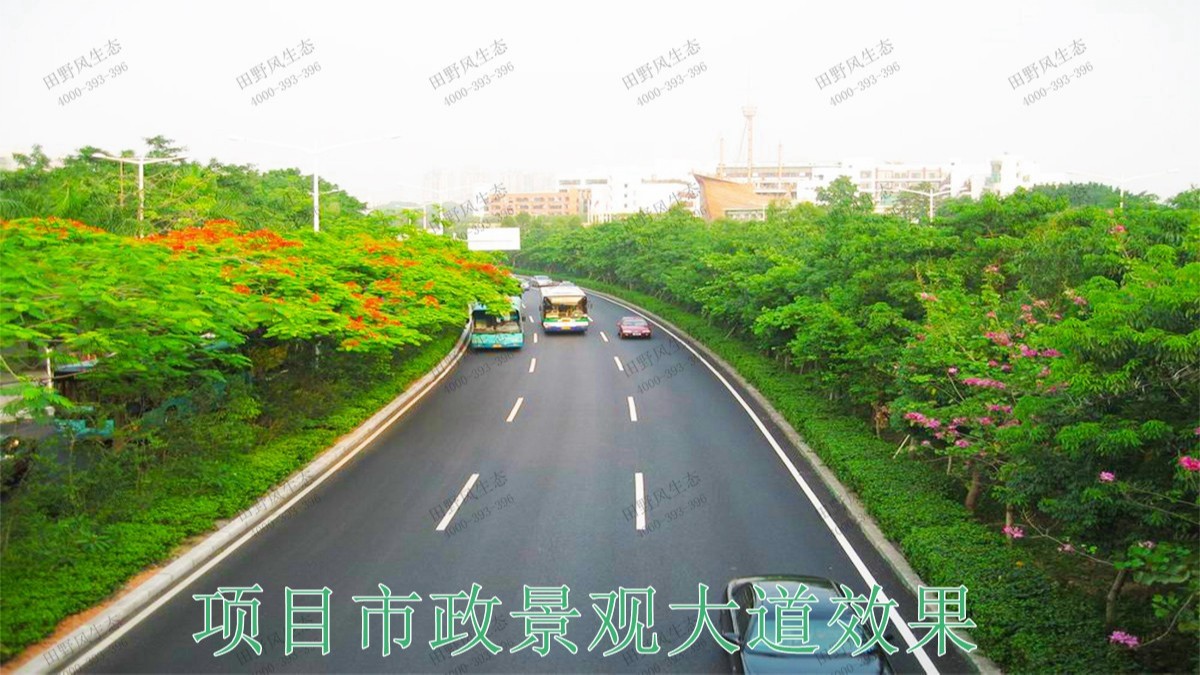 广东珠海斗门美化绿化市政工程