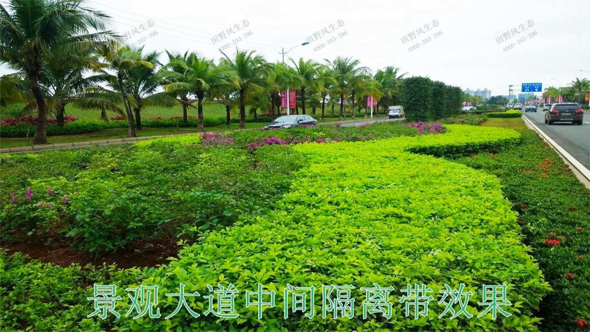 广东珠海斗门湿地公园市政工程