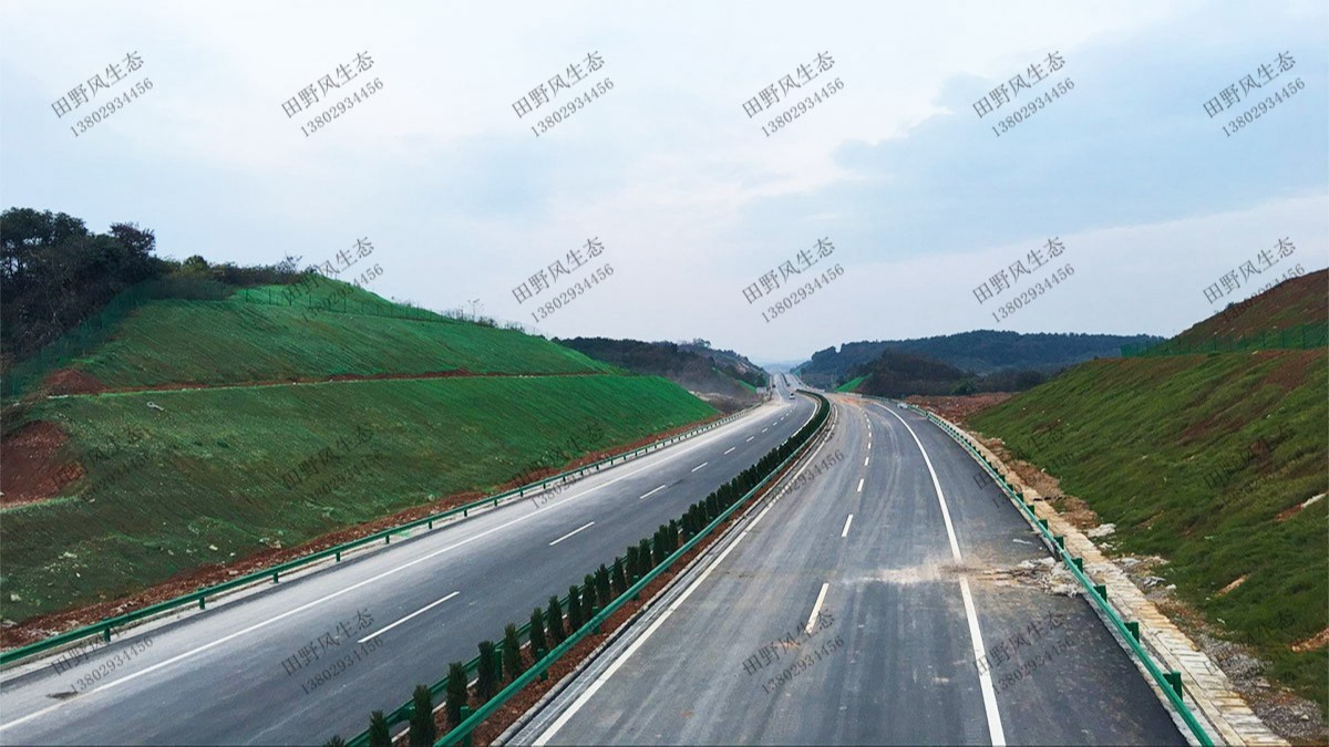 揭惠高速揭阳段高速公路边坡复绿工程