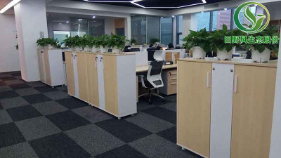 为什么办公室越来越多老板选择“植物租摆”，而不是“直接购买”呢？