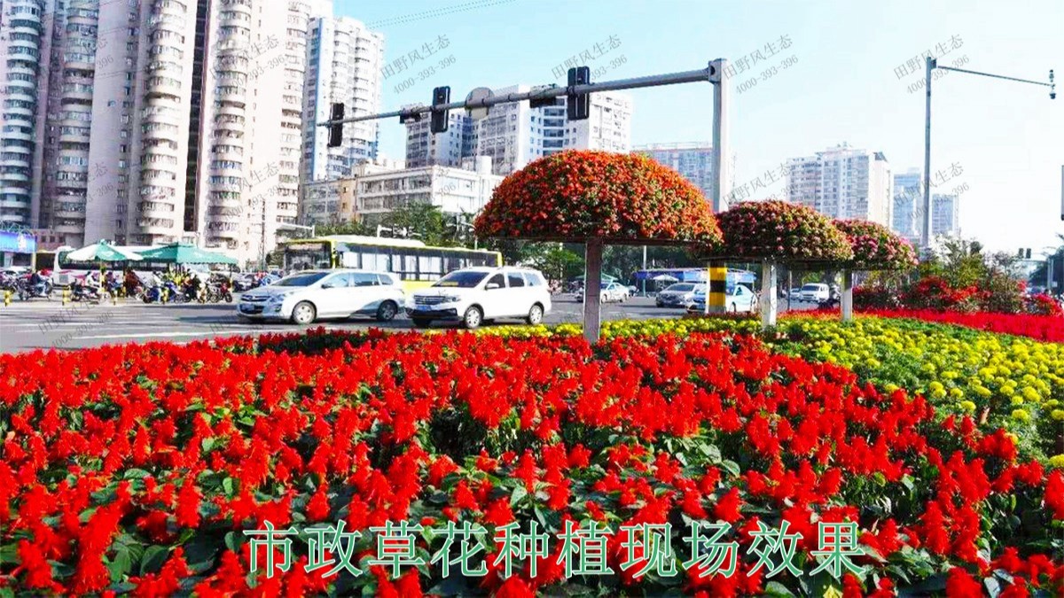 广东惠州市政景观园林工程