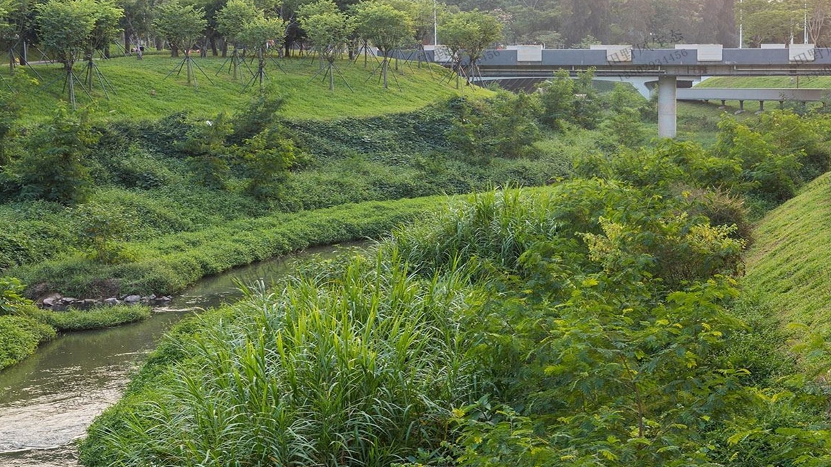 河道生态护坡绿化