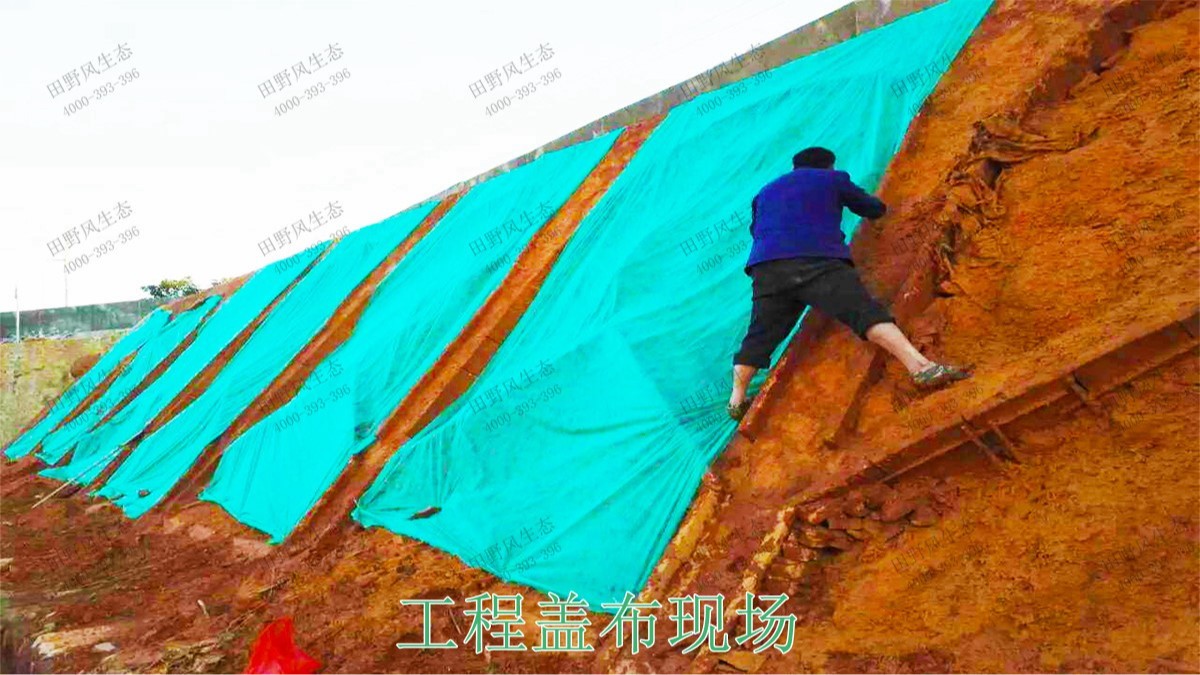兴汕高速梅州段公路边坡挂网喷播工程