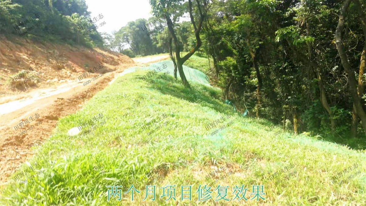 广州白水山森林公园生态修复