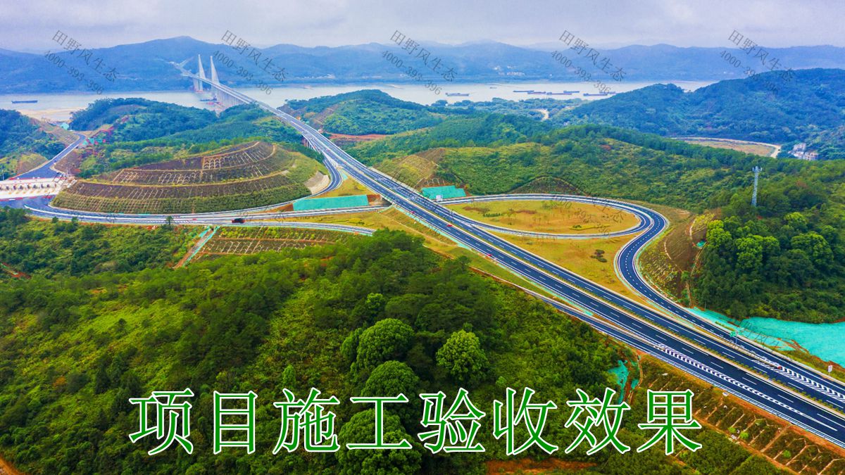 河惠莞高速紫金至惠阳段公路边坡复绿工程