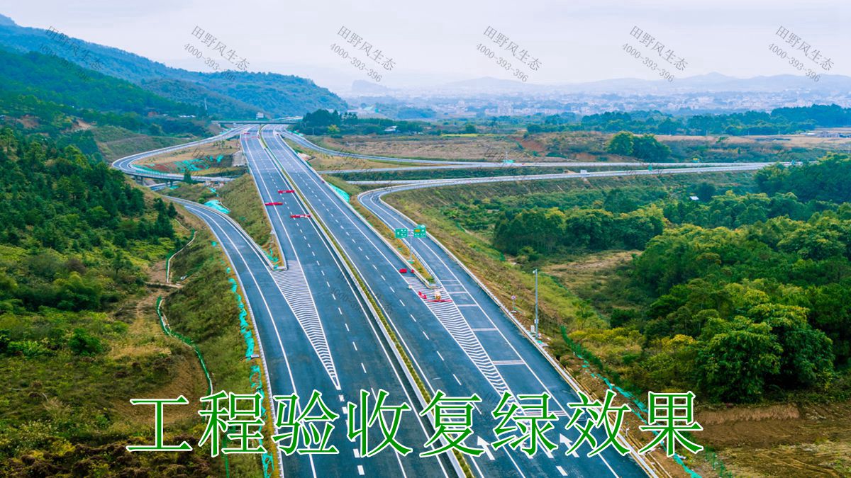 怀阳高速怀集至郁南段公路边坡复绿工程