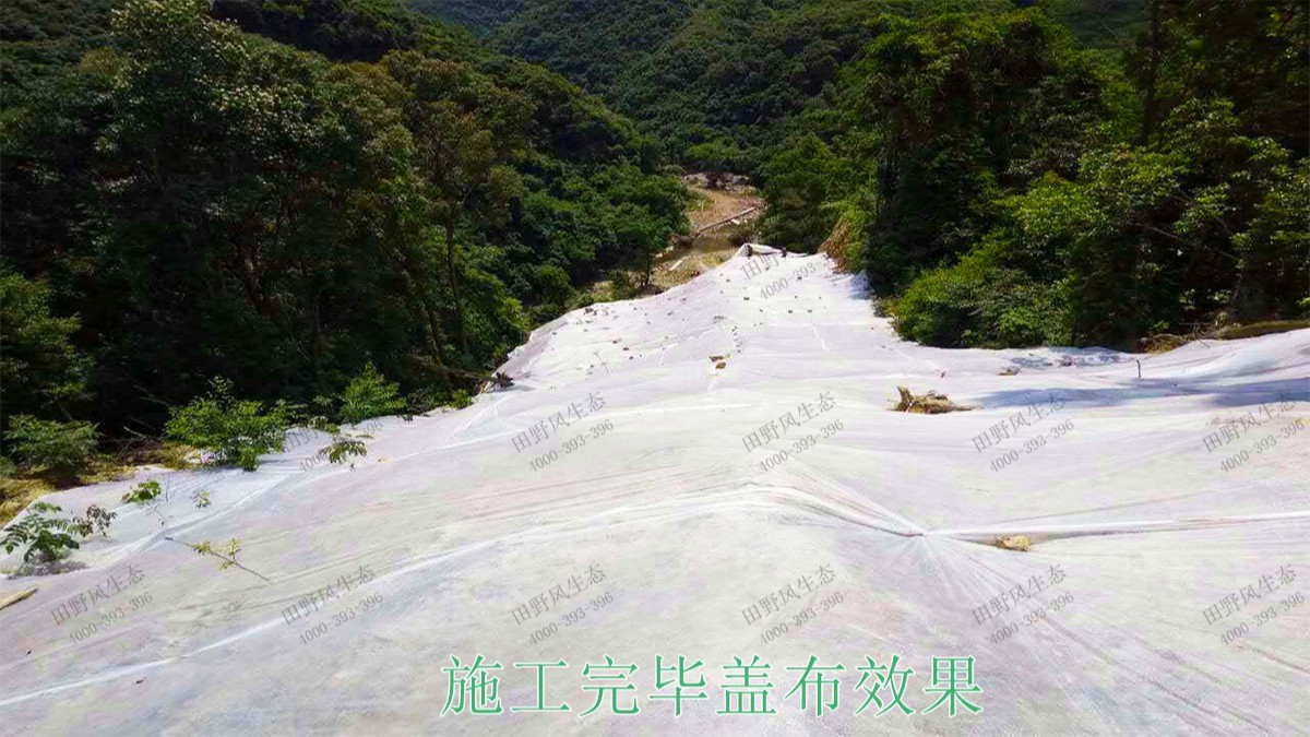 广东高枨铅锌矿采石场边坡复绿工程
