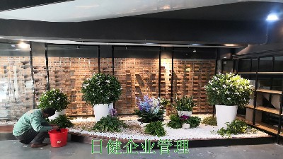 广州日健管理有限公司年花订购服务