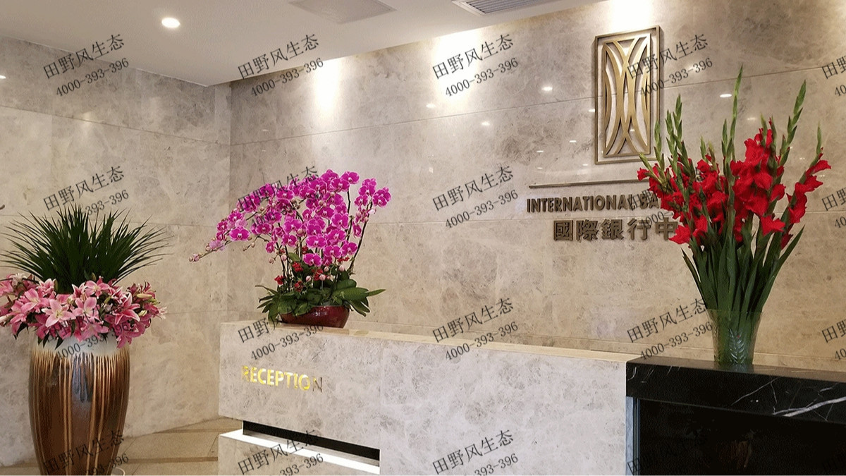 广州国际银行中心花木租赁案例