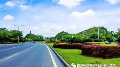 道路绿化中，城市干道植物应怎样配置？