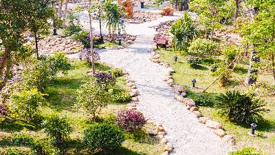 多元化乔灌木组景