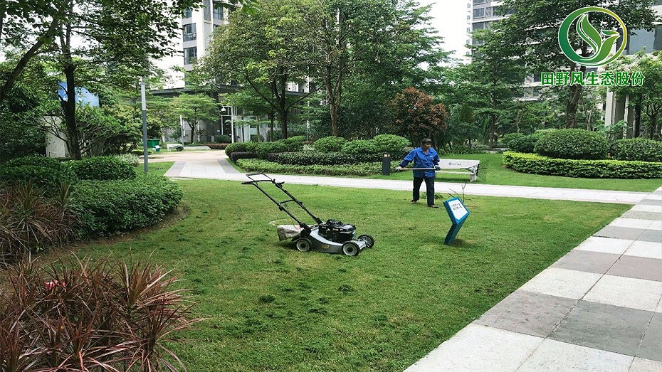 小区草坪修剪,小区绿化修剪