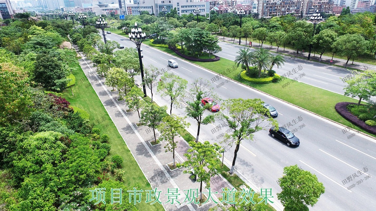 广州亚运城园林绿化建设工程