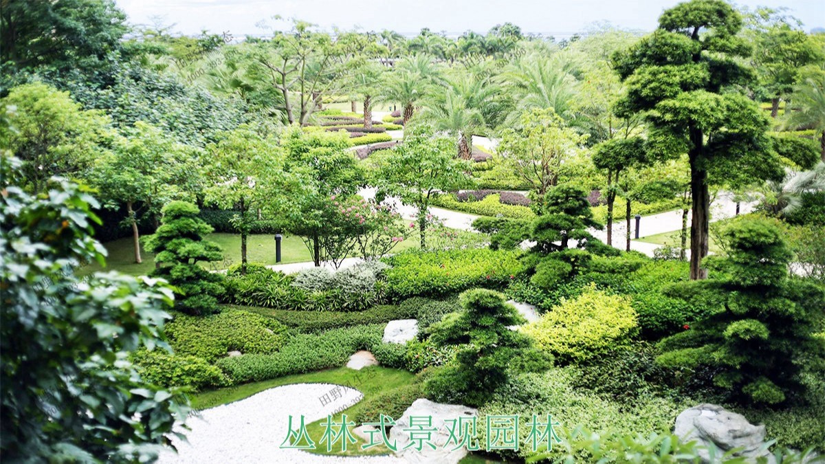 广东珠海横琴岛市政园林工程