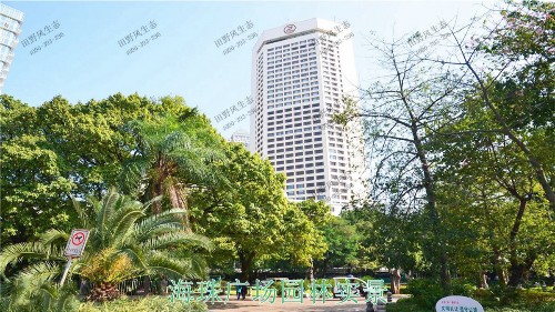 广州海珠广场园林绿化工程