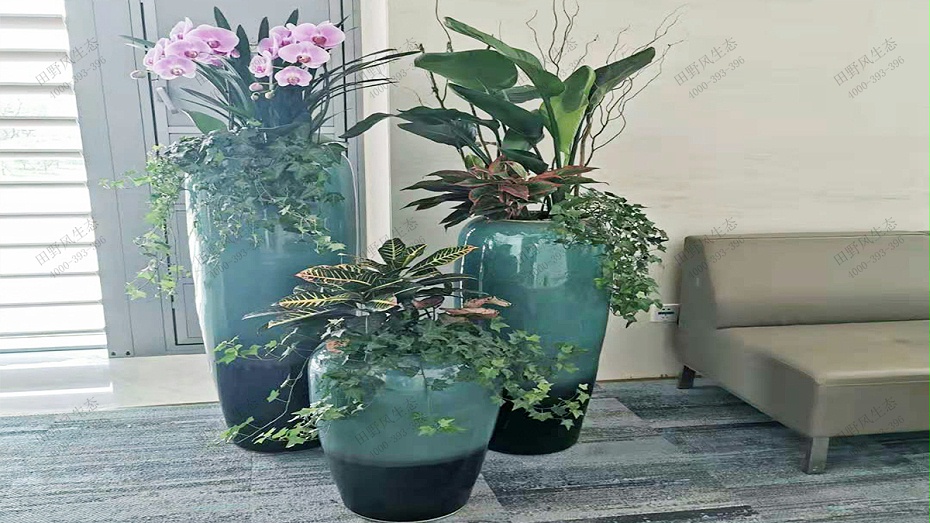 单位租绿,单位花卉租赁