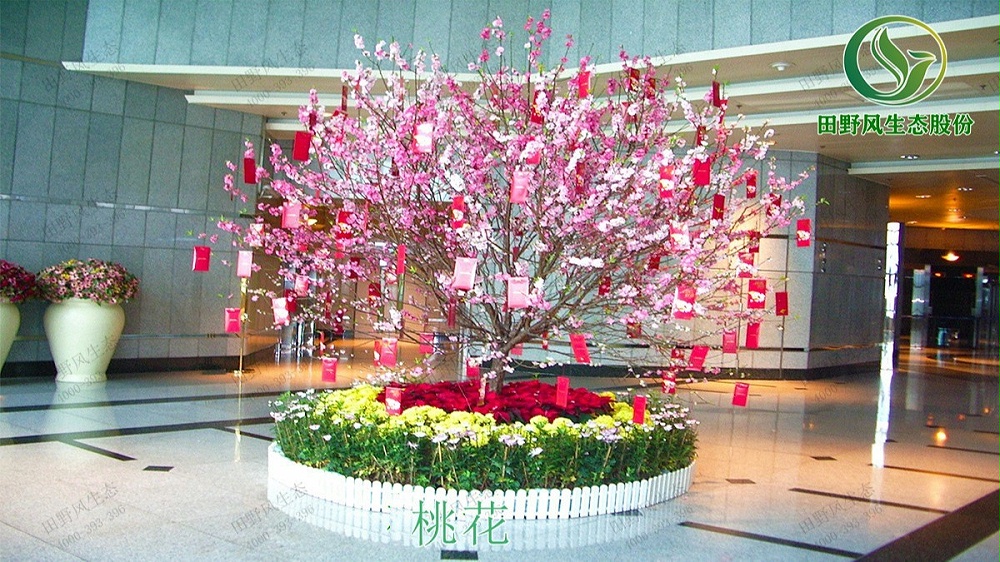 广州日健管理有限公司年花订购服务