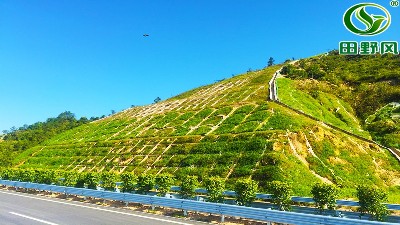 护坡绿化种草,绿化喷播机
