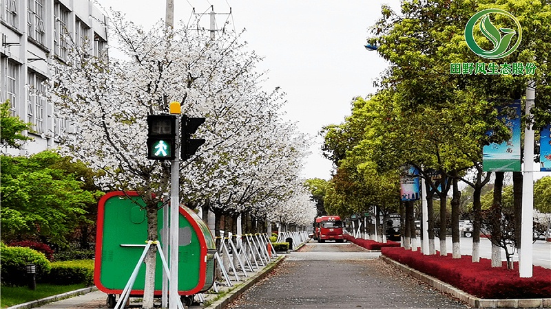 道路绿化,市政绿化