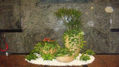 酒店室内组合景观