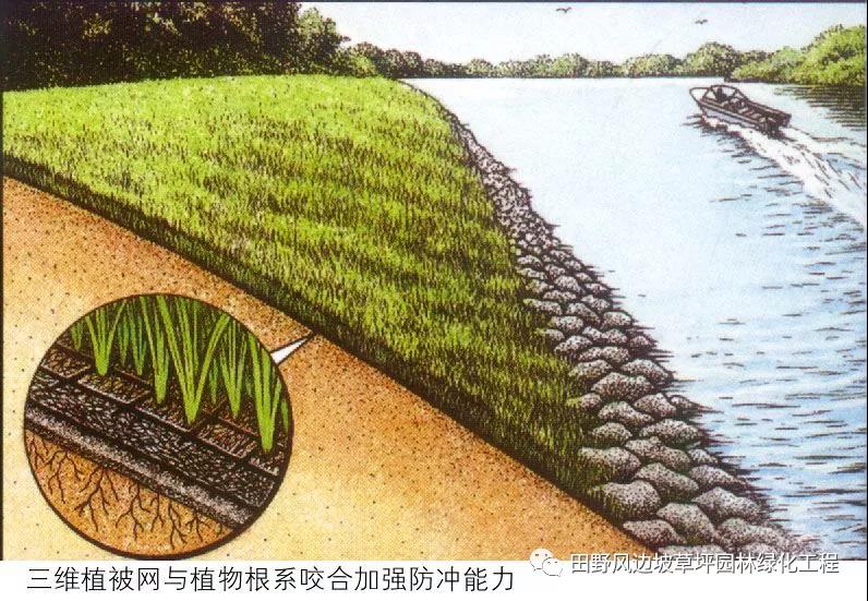 微信图片_20200608083246