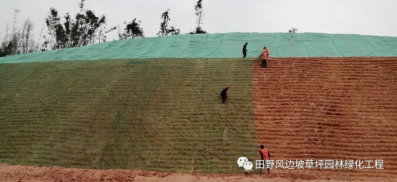 微信图片_20200608083252