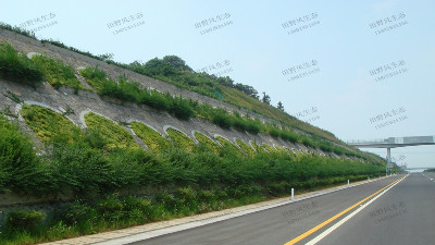 高速公路边坡绿化植物种类如何选择搭配
