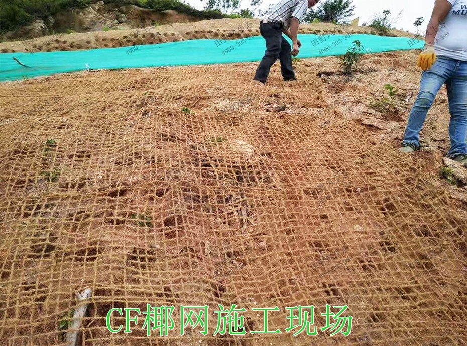 4CF椰网施工现场