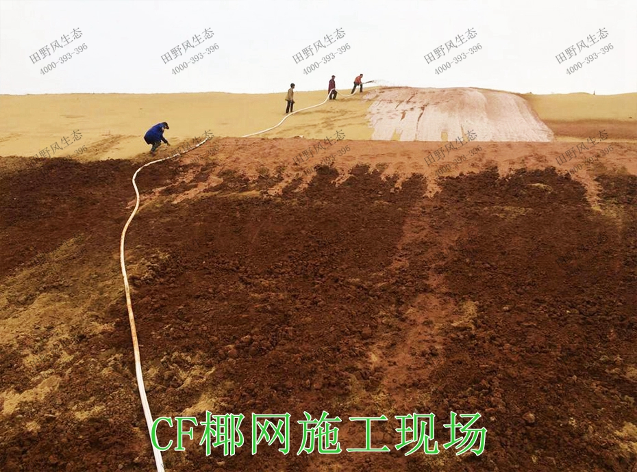 5CF椰网施工现场