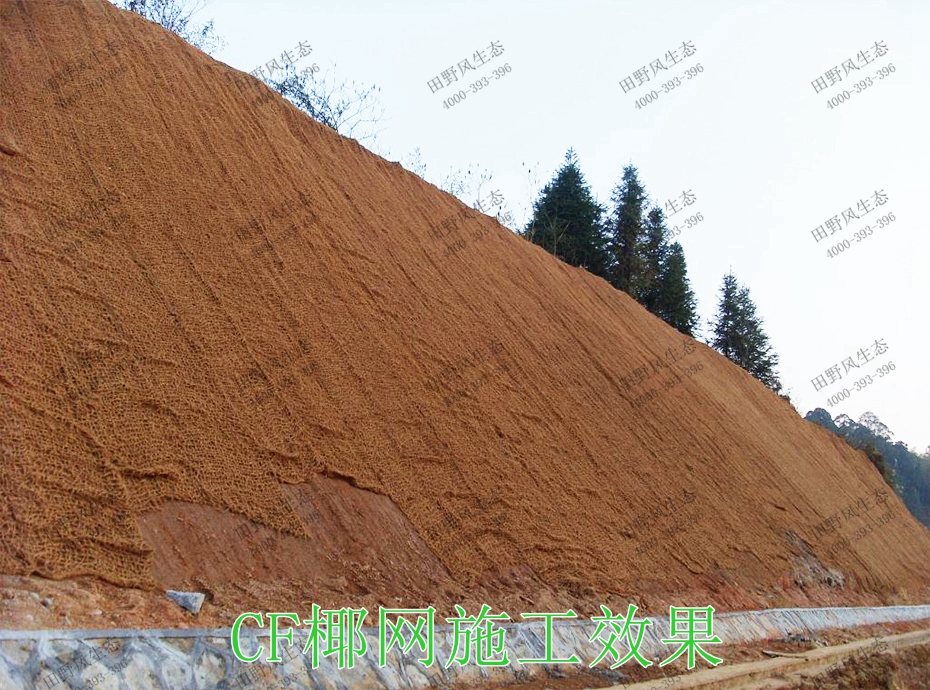 7CF椰网施工效果