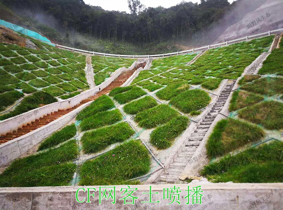 9CF网客土喷播