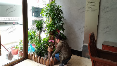 广州盈科智谷植物租摆