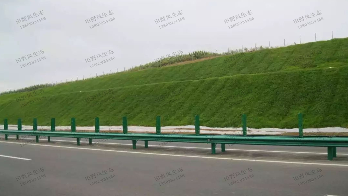 公路边坡绿化