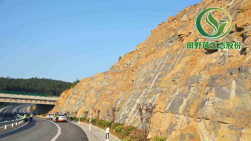 高速公路绿化，生态防护