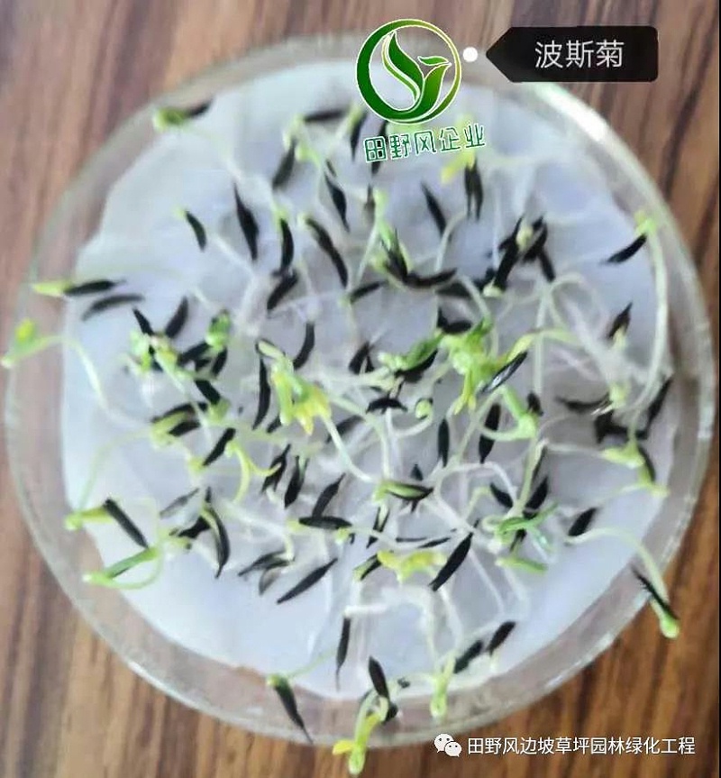 微信图片_20200528154124