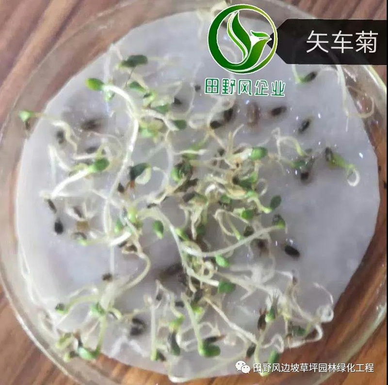 微信图片_20200528154128