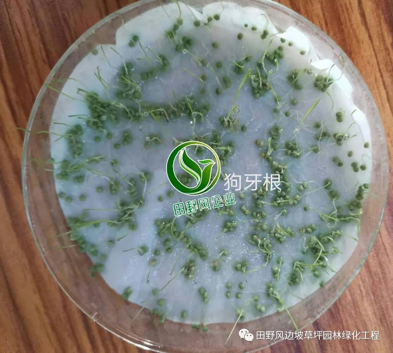 微信图片_20200528154135