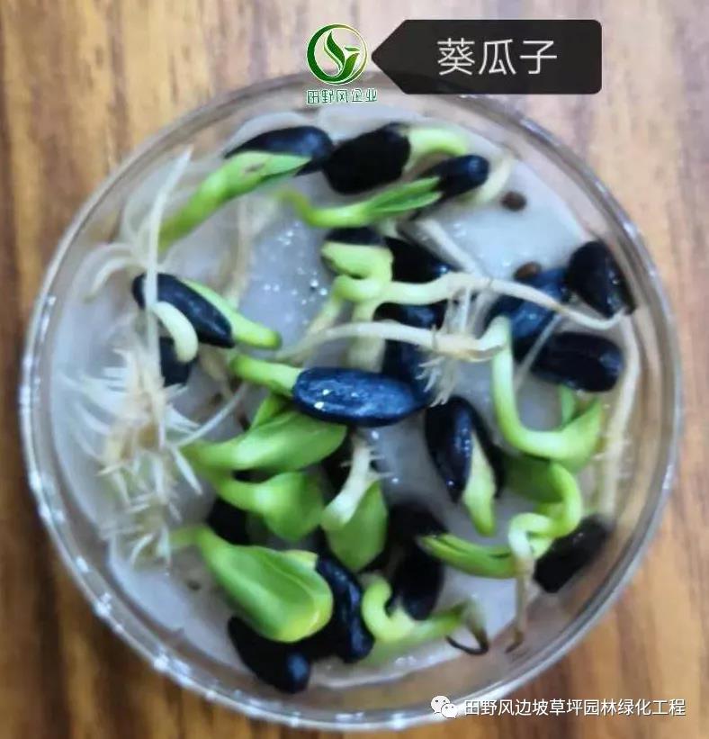 微信图片_20200528154108