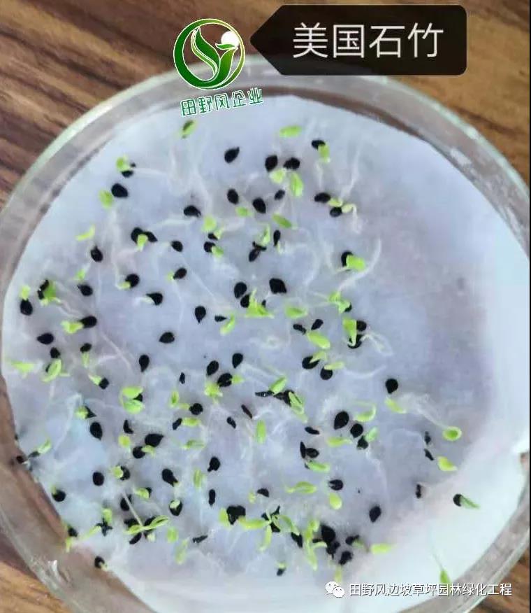 微信图片_20200528154116