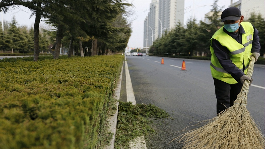 市政道路绿化养护