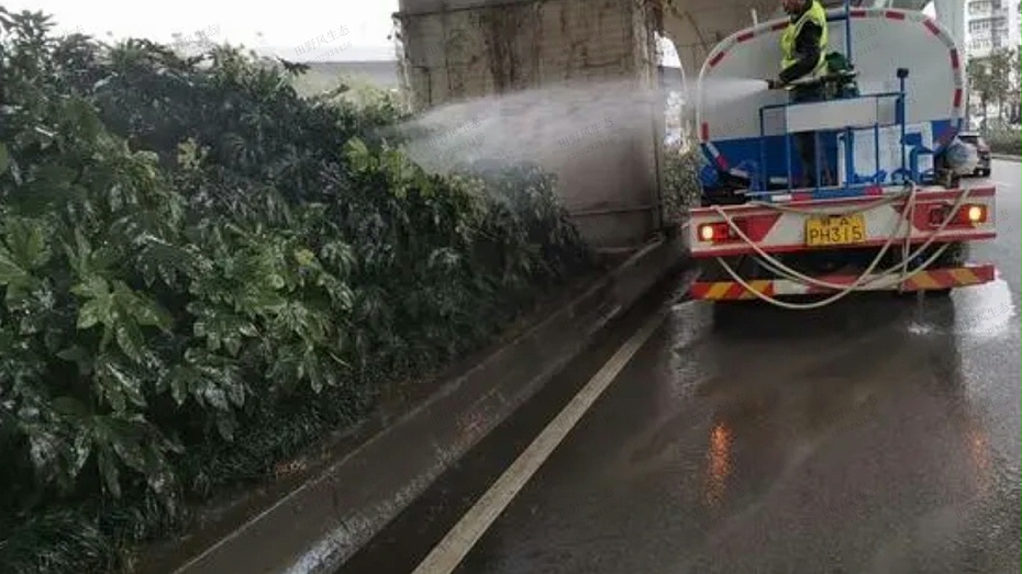 市政道路绿化养护