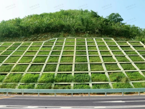汕湛高速清远段高速公路边坡复绿工程
